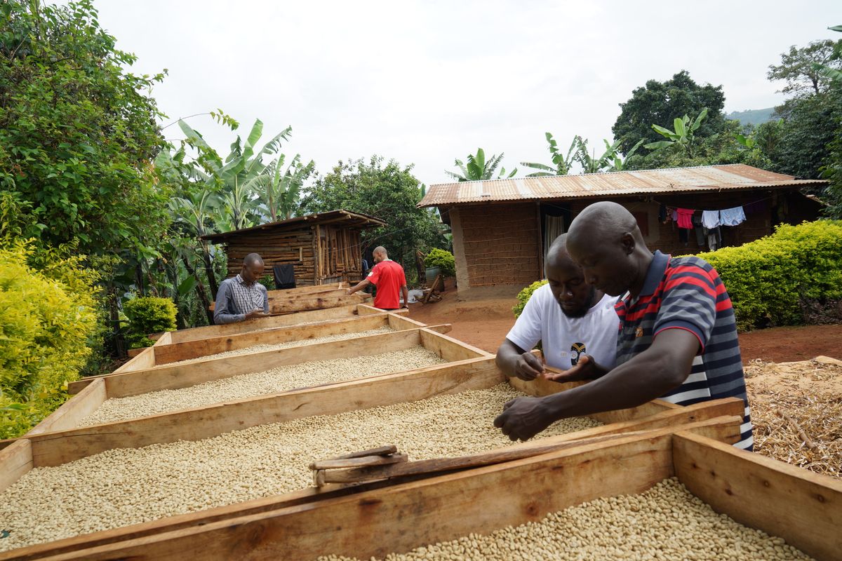 Uganda Bulambuli vasket