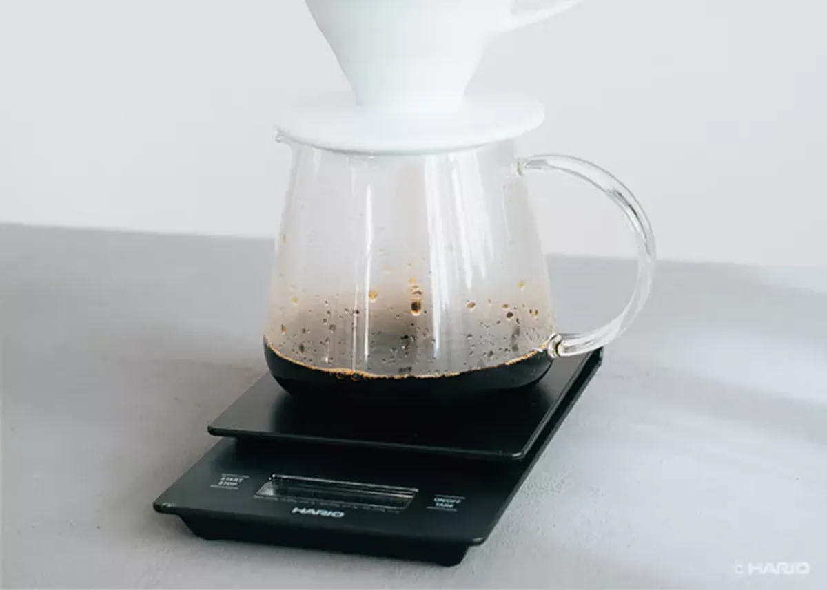 HARIO - BARISTA SERVER