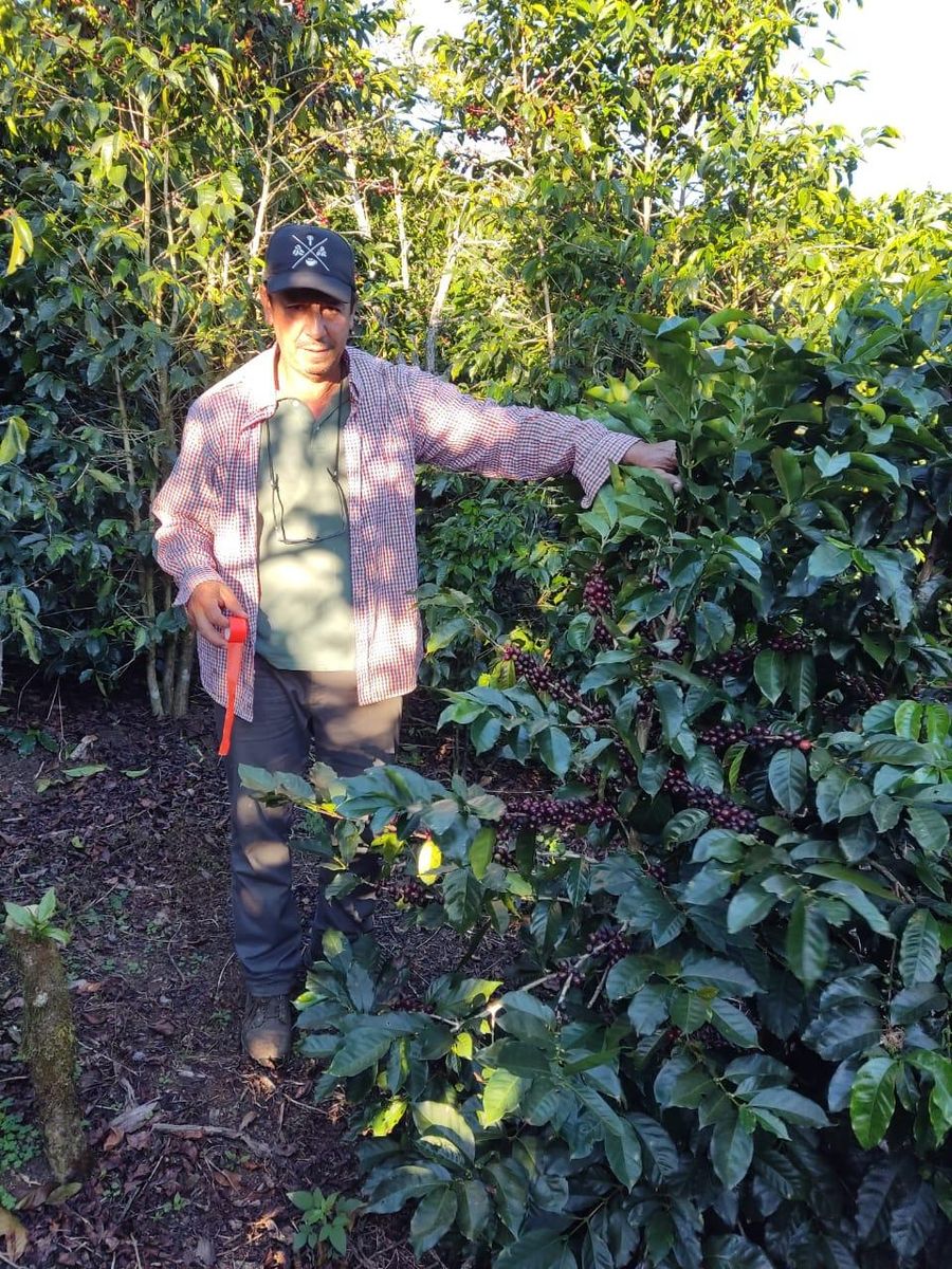 Costa Rica San Francisco Natural Anaerobic
