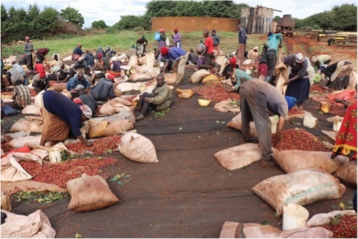 Kenya AB Ruera